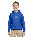 Youth Hoodie